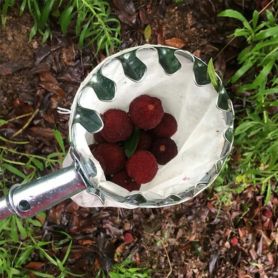 Gardening Tools Basket - Keranjang Pemetik Buah yang Kokoh, Alat