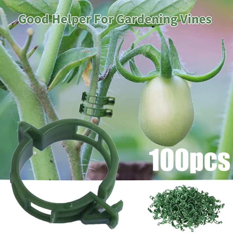 Gardening Tools Usa - 100 buah/klip penopang tanaman plastik dasi