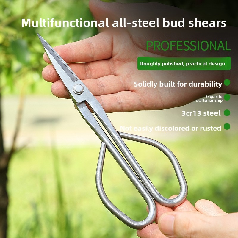 Bonsai Tool Set - Gunting Daun Muda Alat Bonsai Gunting