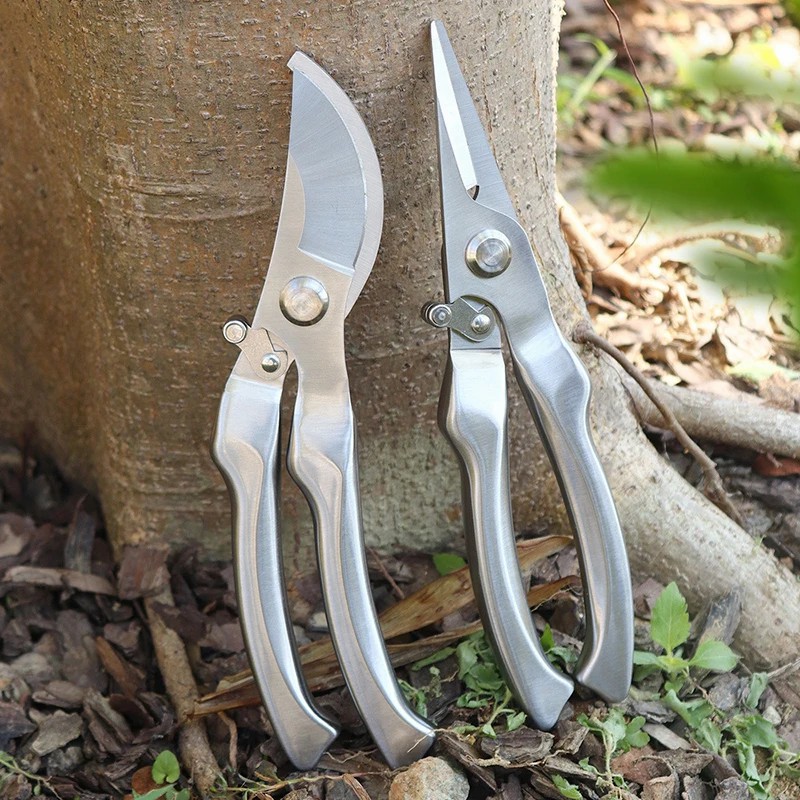 Bonsai Tool Set - Gunting Pangkas Profesional Semua Bahan Stainless