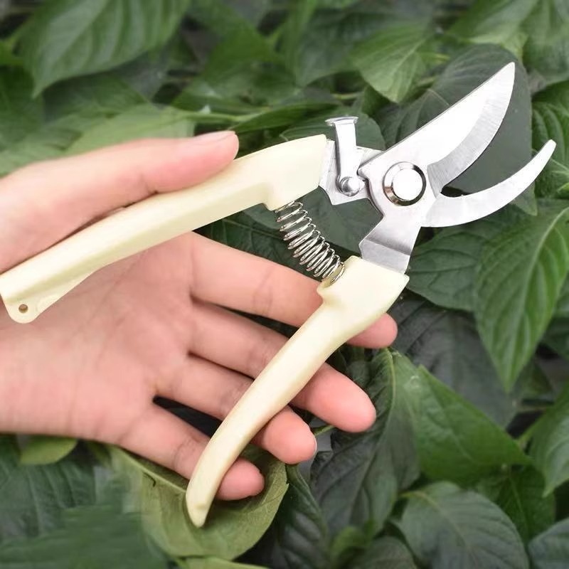 Gunting Pangkas Bertenaga untu - Gardening Tools Pink ulasan dan harga