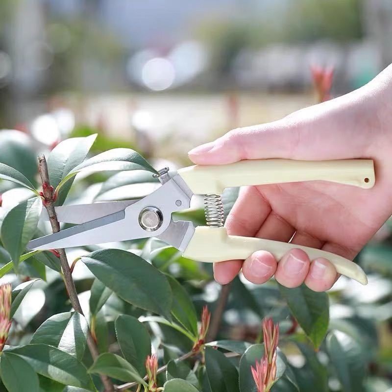 Gunting Pangkas Bertenaga untu - Gardening Tools Pink ulasan dan harga