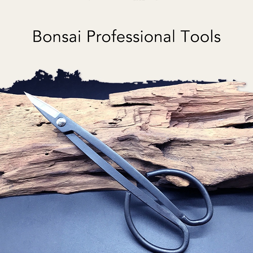 Gunting Bonsai Baja Tahan Kara - Bonsai Tool Set ulasan dan harga