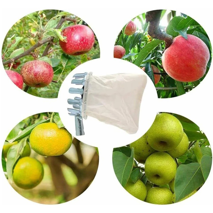 Keranjang Pemetik Buah yang Ko - Gardening Tools Basket ulasan dan harga