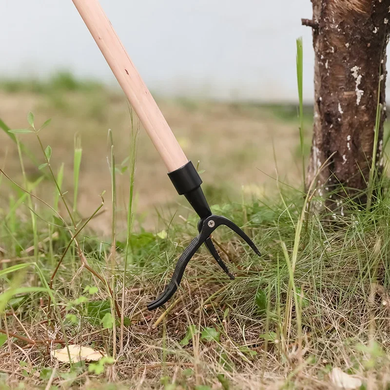 Alat Penarik Gulma Berdiri den - Gardening Tools Usa ulasan dan harga