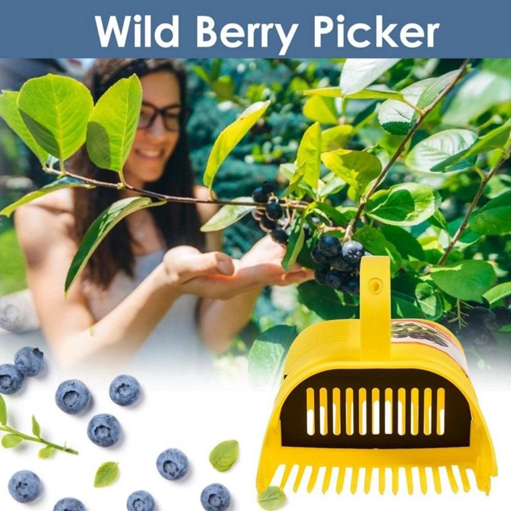 Alat Pemetik Blueberry Portabe - Gardening Tools Basket ulasan dan harga