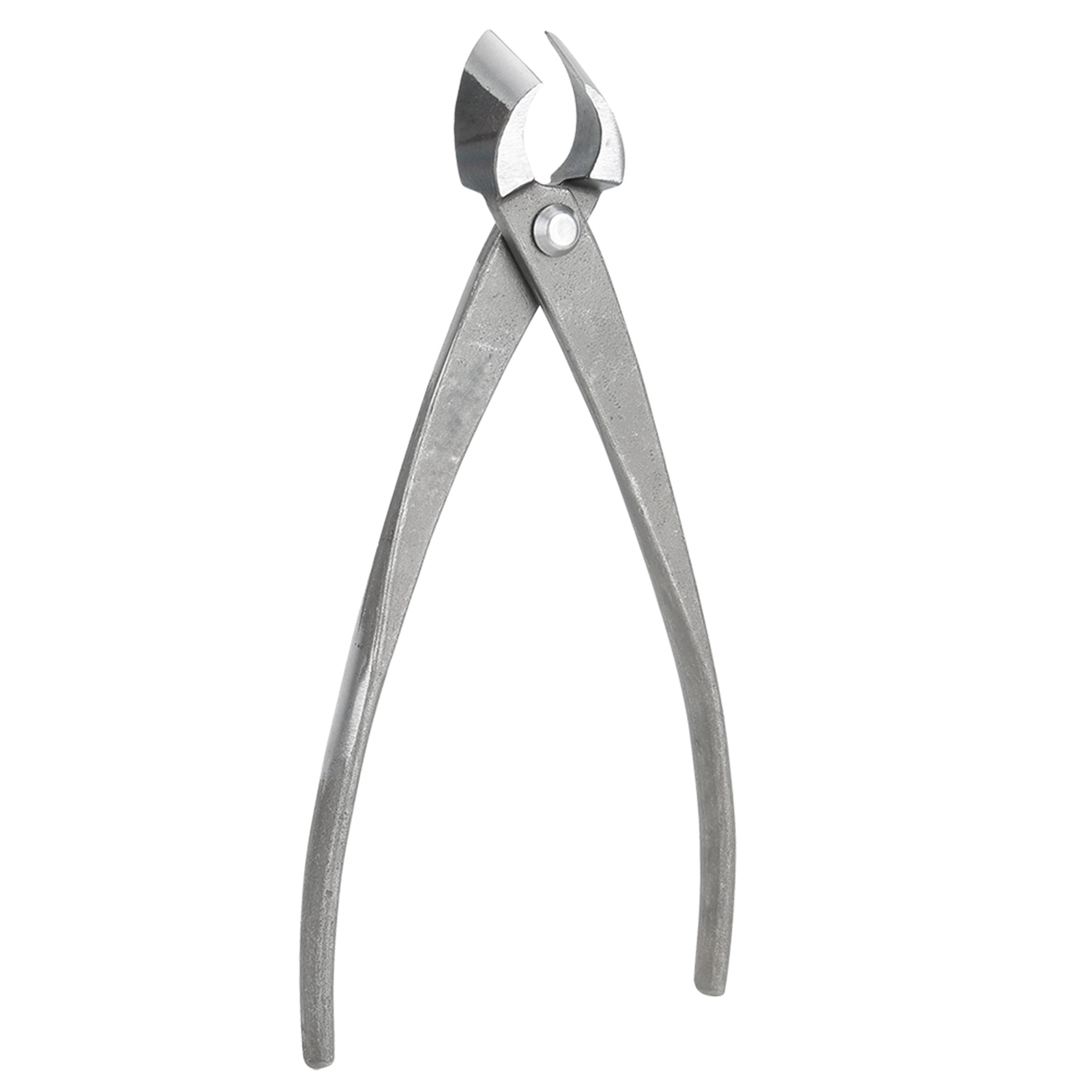 Pemotong Bonsai Multifungsi Pe - Bonsai Tool Set ulasan dan harga