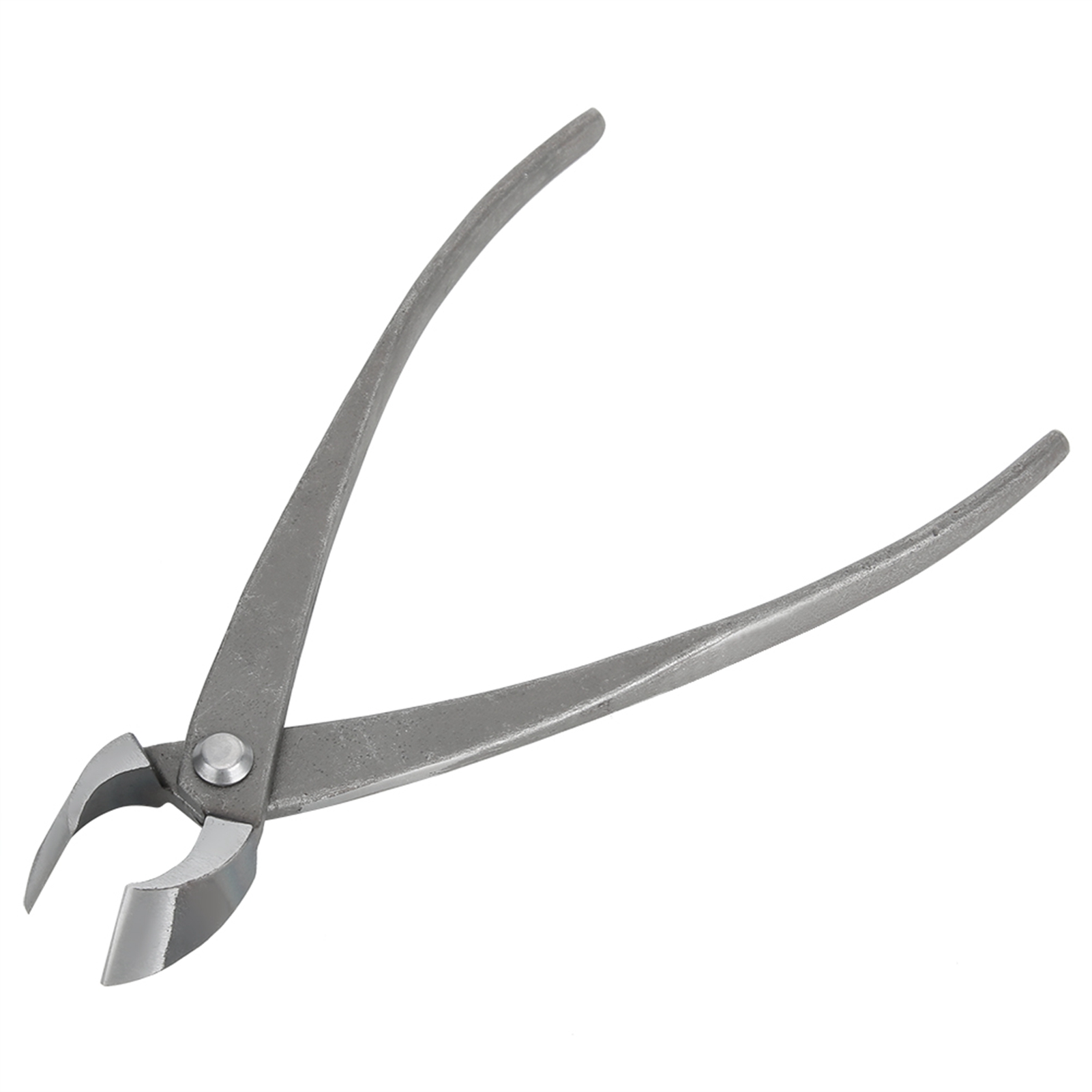 Pemotong Bonsai Multifungsi Pe - Bonsai Tool Set ulasan dan harga