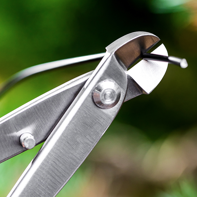 Set Alat Bonsai Profesional  K - Bonsai Tool Set ulasan dan harga