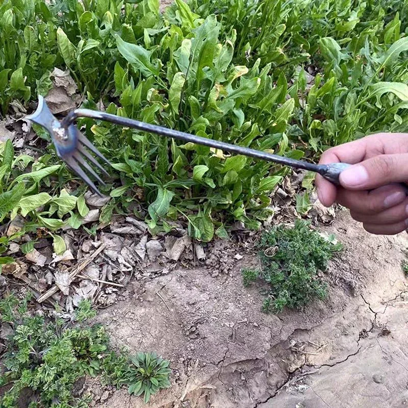 Penyiang Rumput Tangan, Penyia - Gardening Tools For Weeds ulasan dan harga