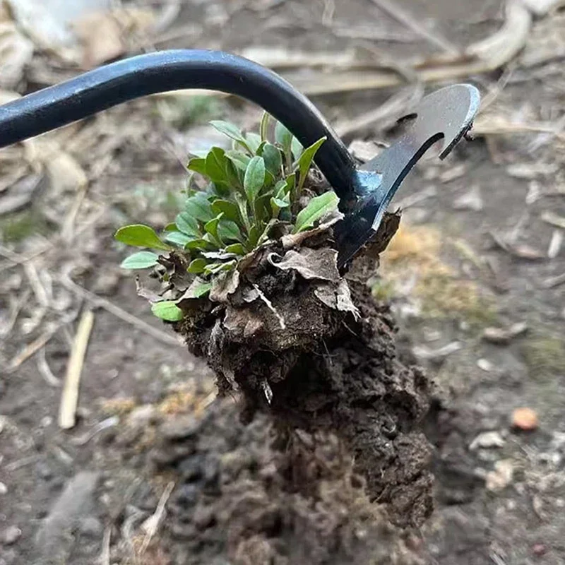 Penyiang Rumput Tangan, Penyia - Gardening Tools For Weeds ulasan dan harga