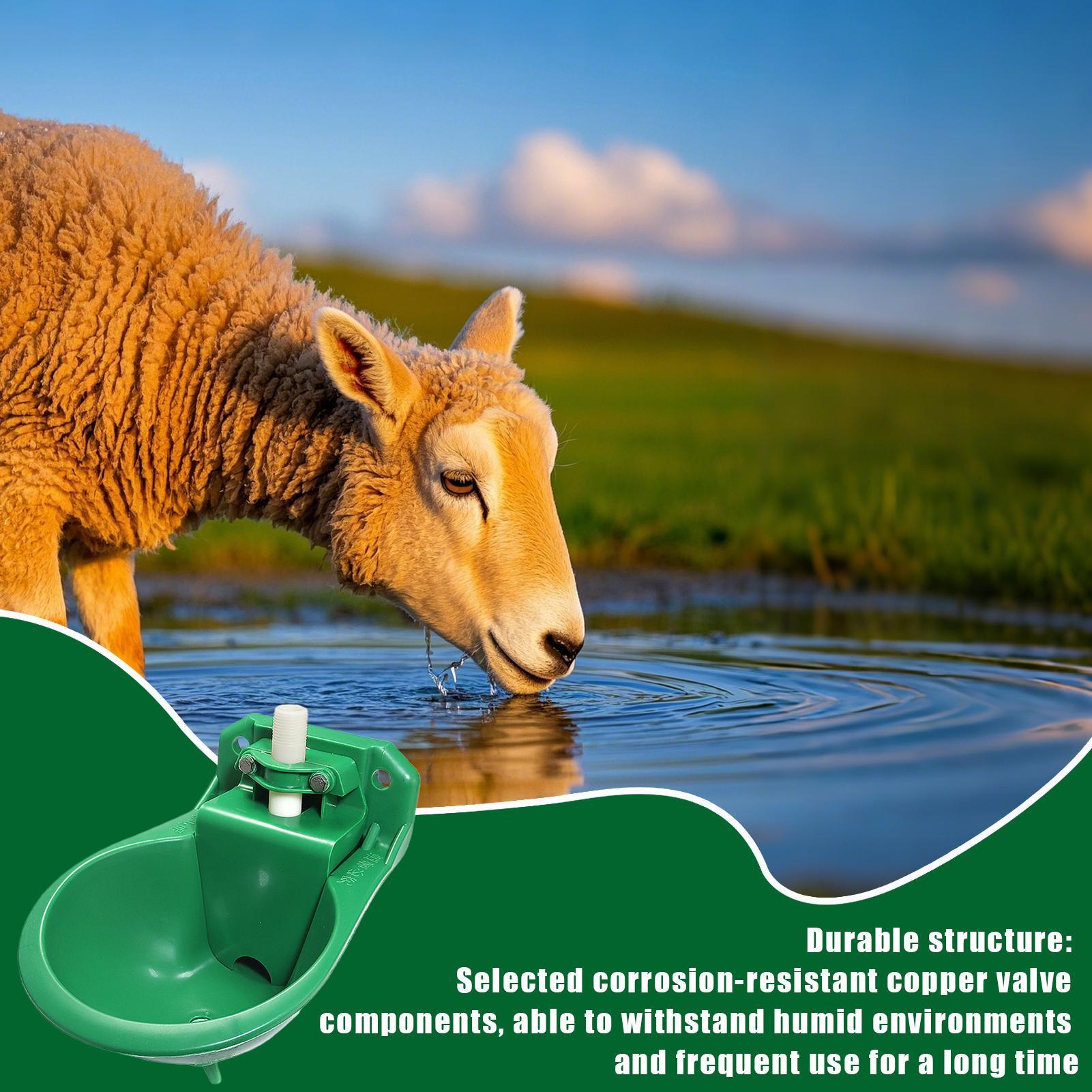 Mangkuk Minum Air untuk Kuda d - Gardening Tools For Women ulasan dan harga