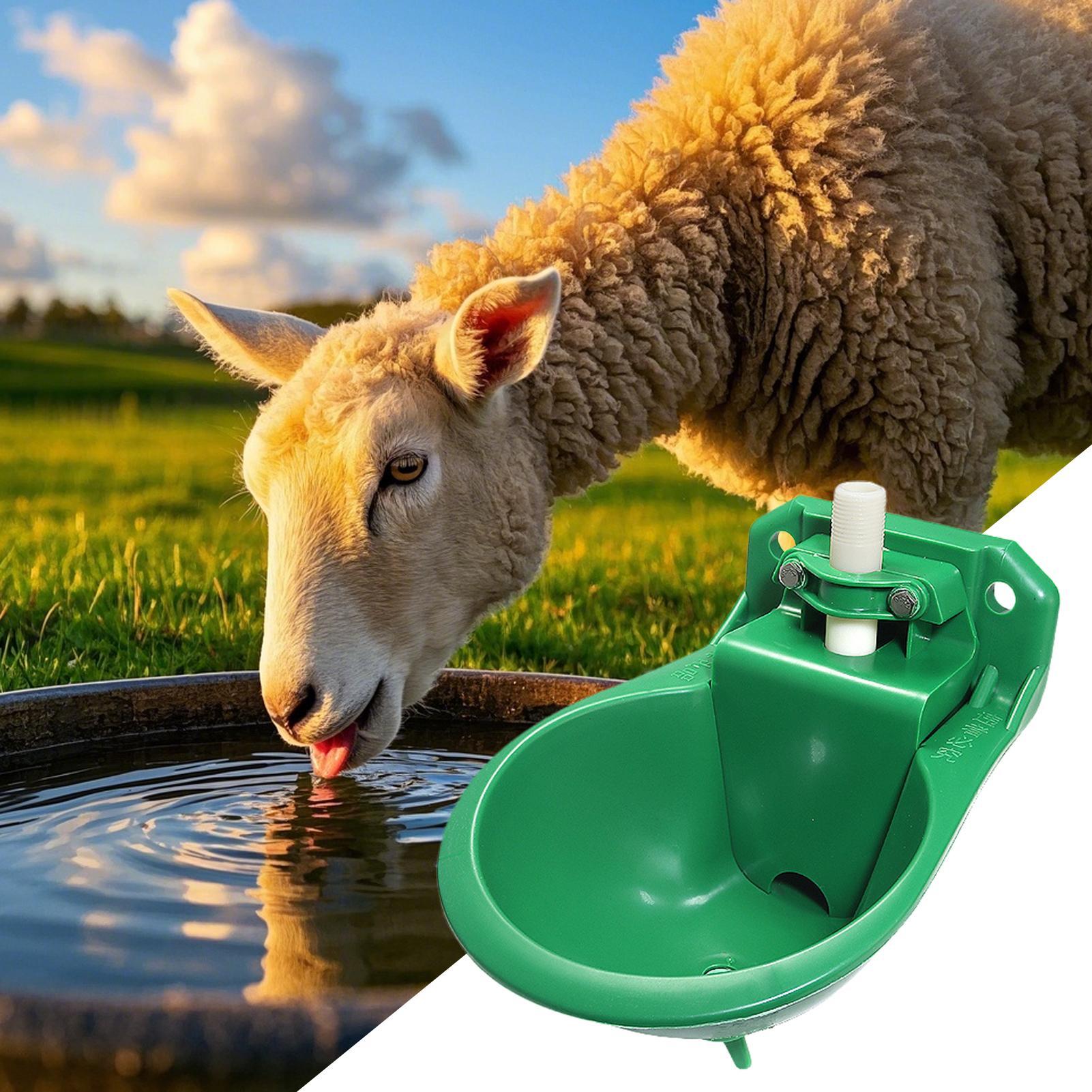 Mangkuk Minum Air untuk Kuda d - Gardening Tools For Women ulasan dan harga