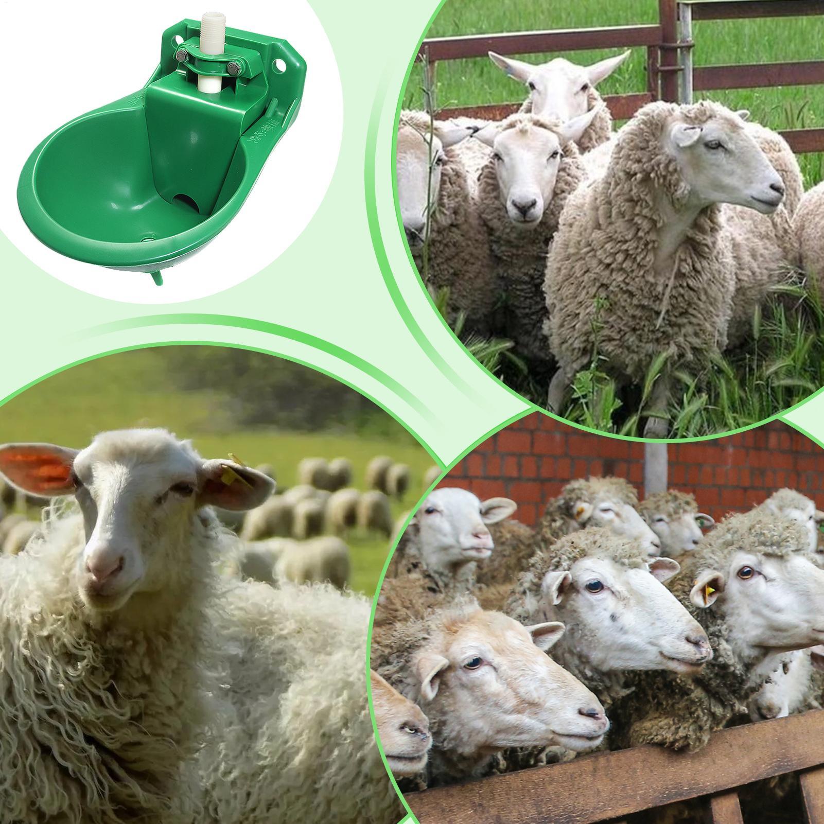 Mangkuk Minum Air untuk Kuda d - Gardening Tools For Women ulasan dan harga
