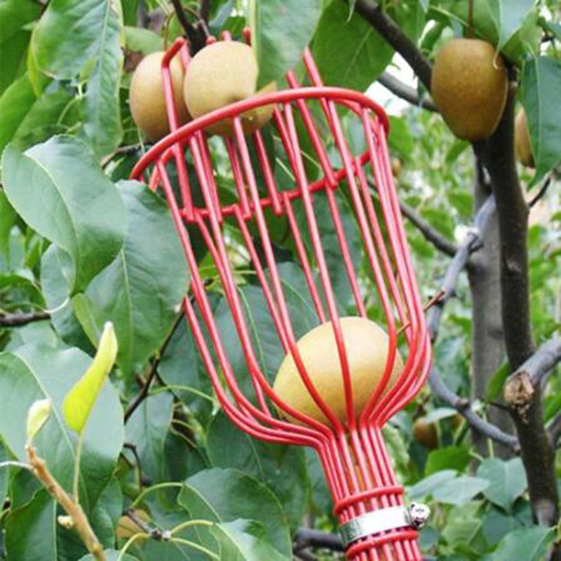 Alat Pemetik Buah Portabel Dee - Gardening Tools Basket ulasan dan harga