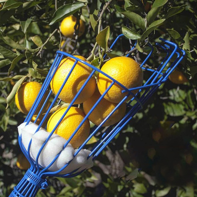 Alat Pemetik Buah Portabel Dee - Gardening Tools Basket ulasan dan harga