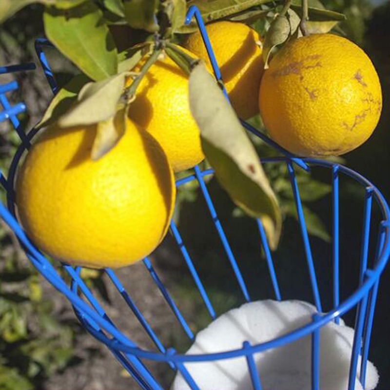 Alat Pemetik Buah Portabel Dee - Gardening Tools Basket ulasan dan harga
