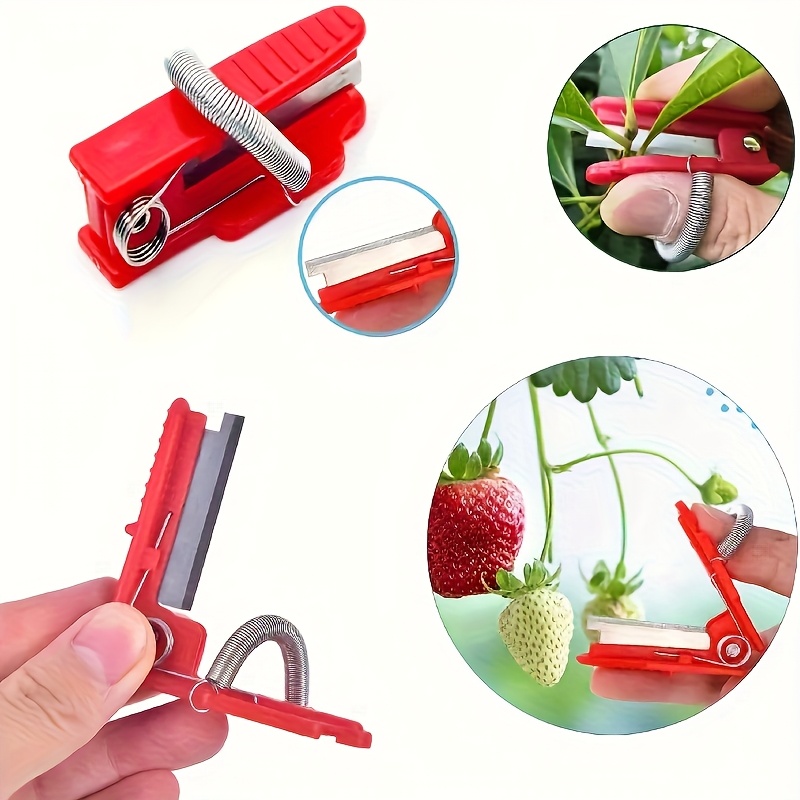 1 Buah Gunting Berkebun untuk  - Gardening Tools Pink ulasan dan harga