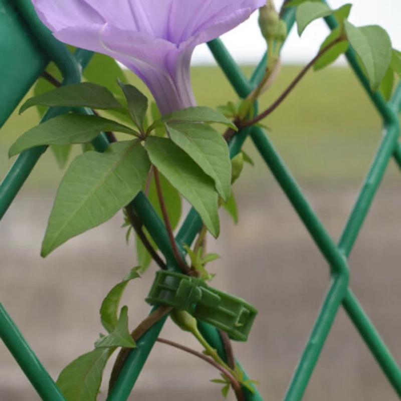 100 buah/klip penopang tanaman - Gardening Tools Usa ulasan dan harga