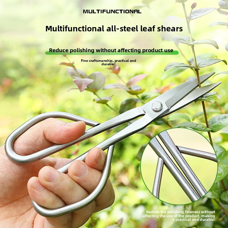 Gunting Daun Muda Alat Bonsai  - Bonsai Tool Set ulasan dan harga