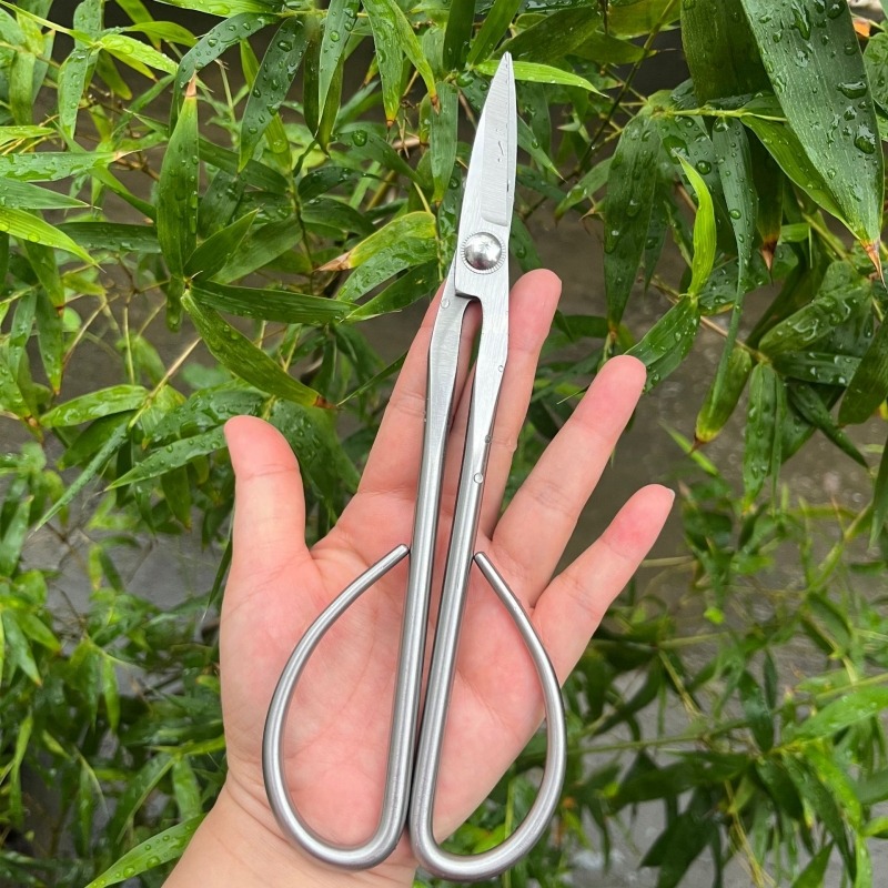 Gunting Daun Muda Alat Bonsai  - Bonsai Tool Set ulasan dan harga