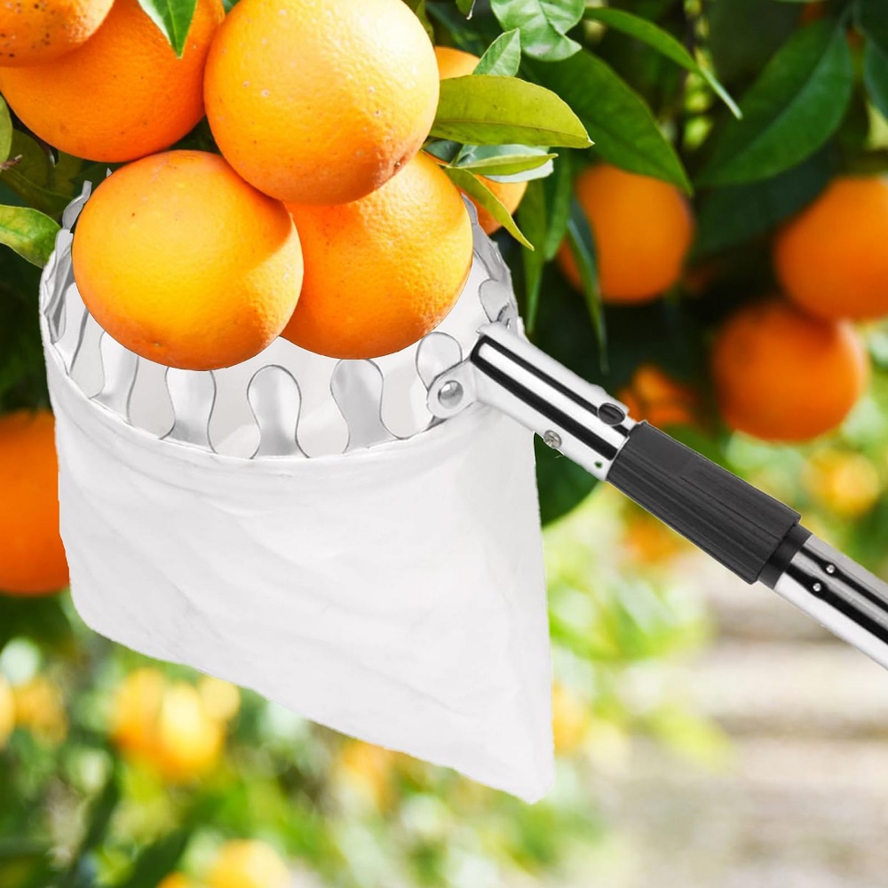 Tongkat Pemetik Buah dengan Ke - Gardening Tools Basket ulasan dan harga