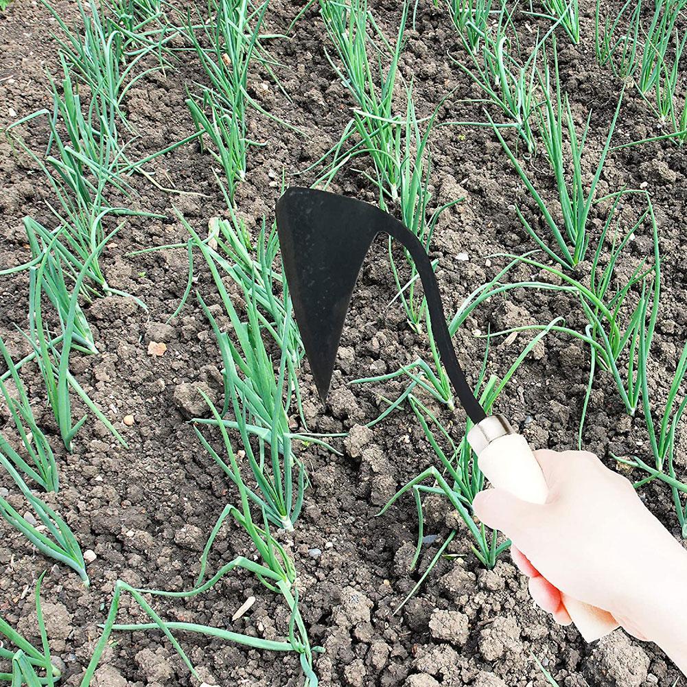 Alat Pertanian Cangkul Segitig - Gardening Tools For Weeds ulasan dan harga