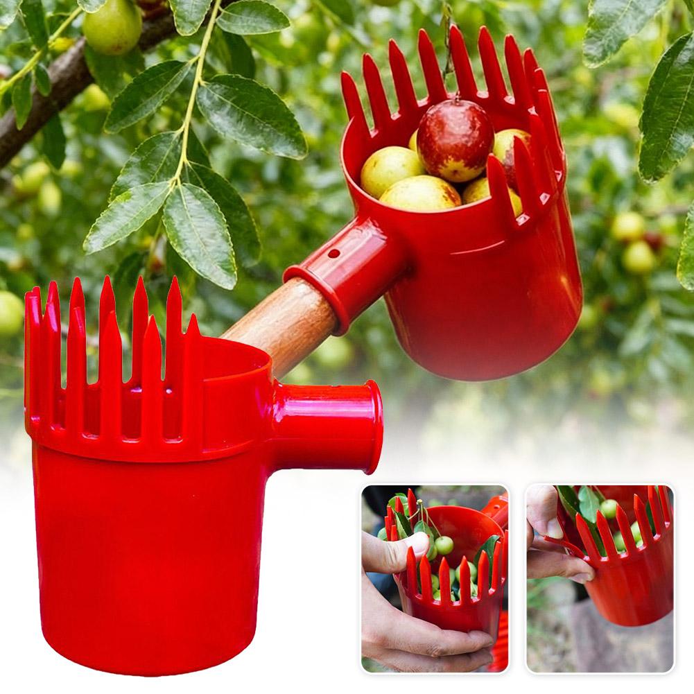 Alat Pemetik Buah Portabel den - Gardening Tools Basket ulasan dan harga