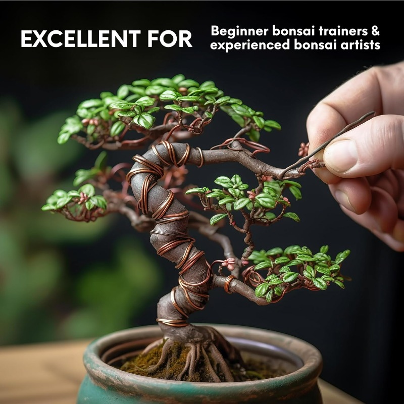 Set Kawat Pelatihan Bonsai 5M  - Bonsai Tool Set ulasan dan harga