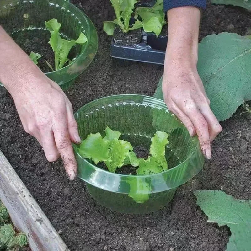 Cincin Pelindung Siput Tanaman - Gardening Tools Vegetables ulasan dan harga