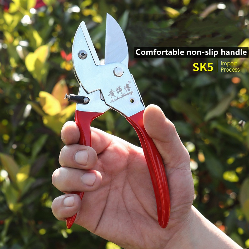 SK5 gunting pangkas taman Manu - Bonsai Tool Set ulasan dan harga