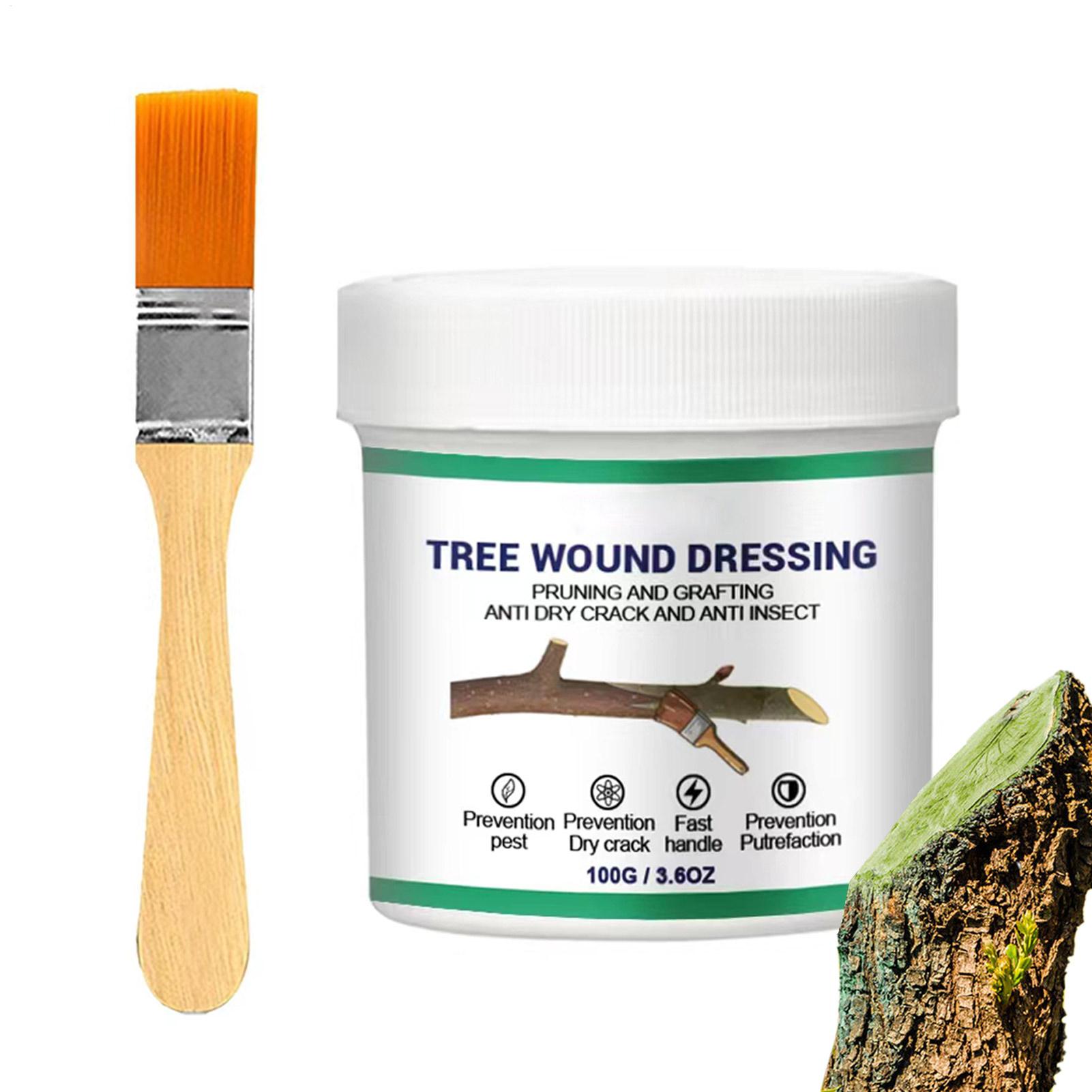 Pasta Penyambung Pohon, Pasta  - Gardening Tools For Women ulasan dan harga