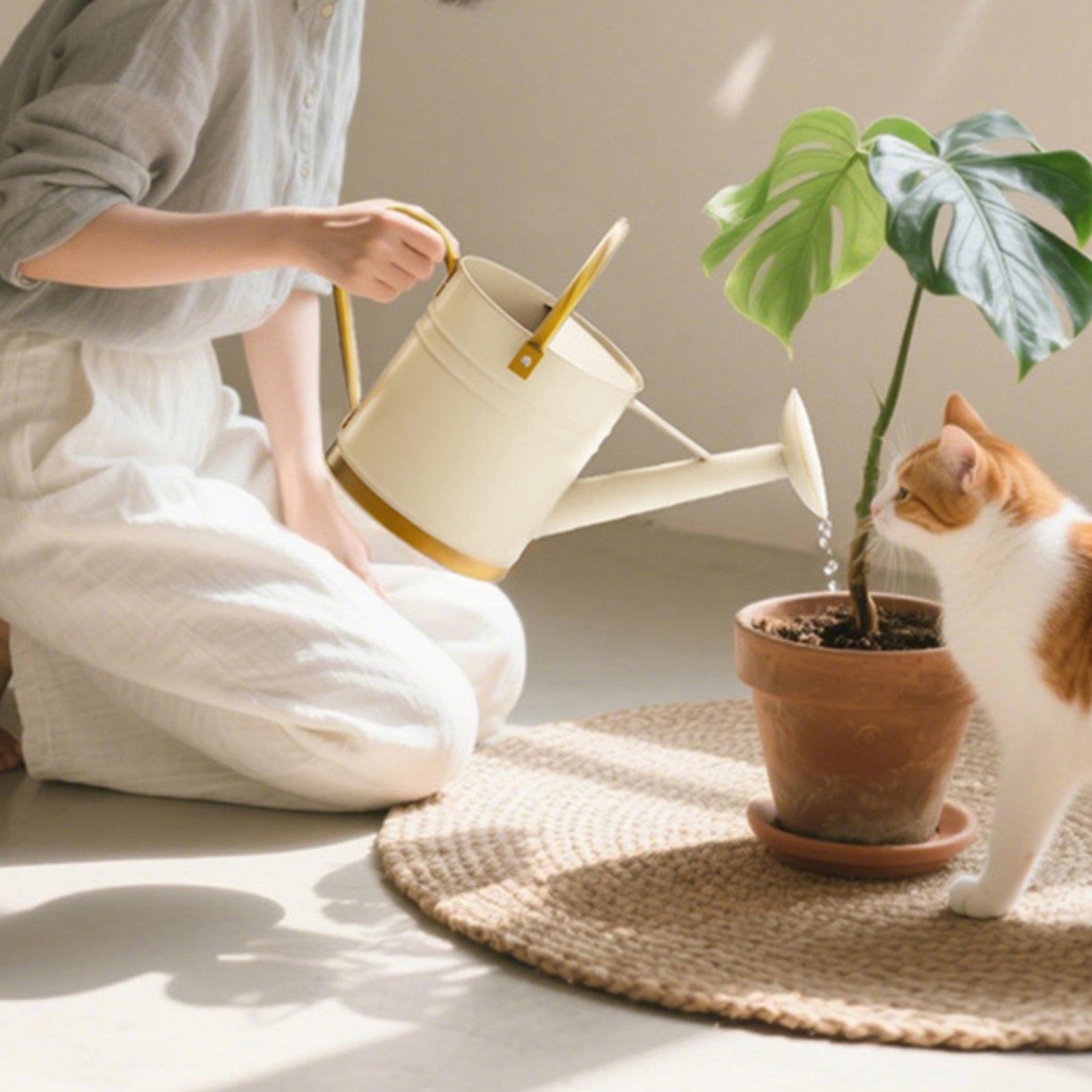 Penyemprot Air dengan Cerat Pa - Watering Can Long Spout ulasan dan harga