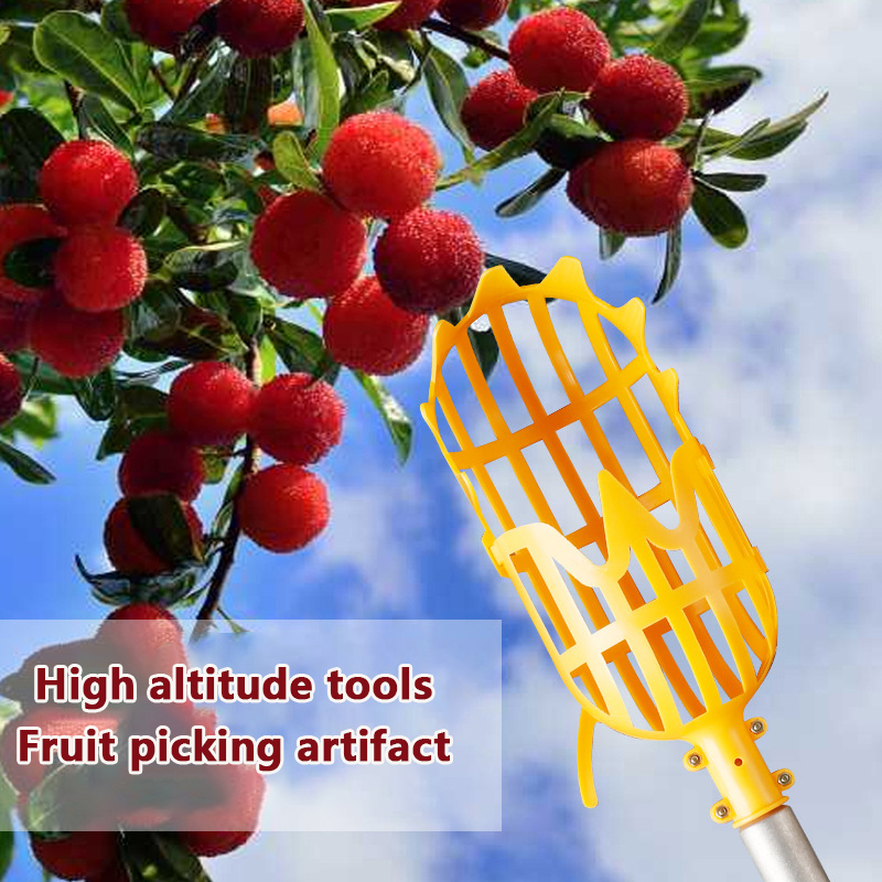 Alat Pemetik Buah Loquat dan B - Gardening Tools Basket ulasan dan harga